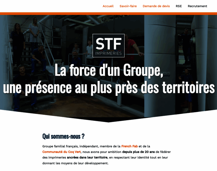 Stf-groupe.info thumbnail