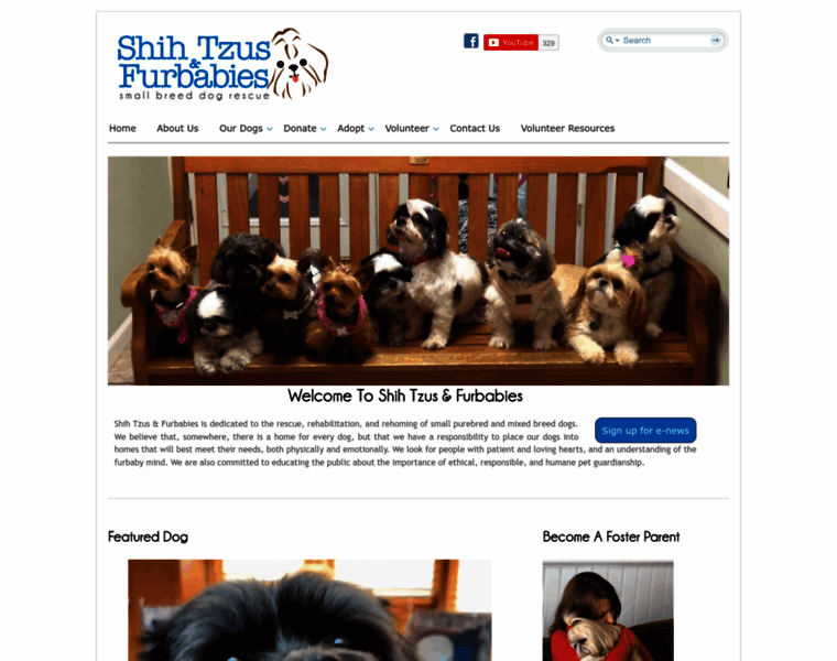 Stfbr.org thumbnail