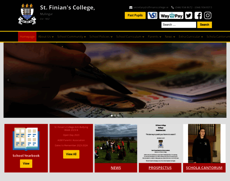 Stfinianscollege.ie thumbnail