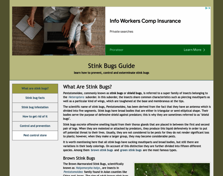 Stinkbugsguide.net thumbnail