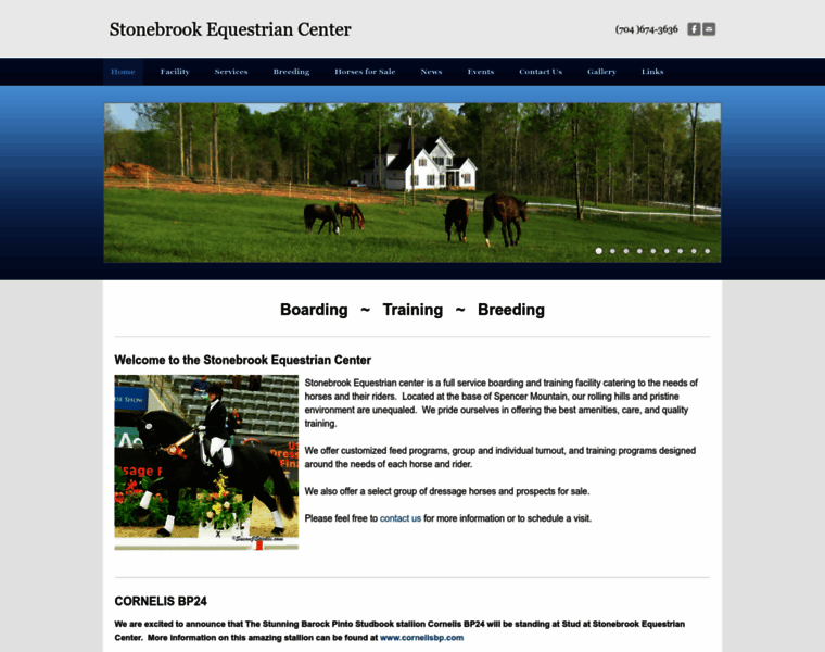 Stonebrookec.com thumbnail