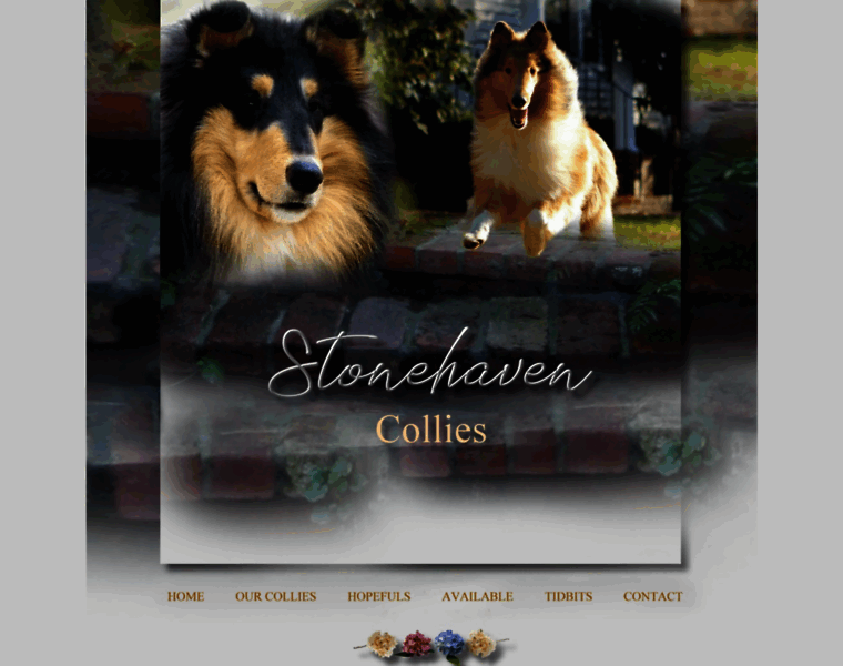 Stonehavencollies.com thumbnail