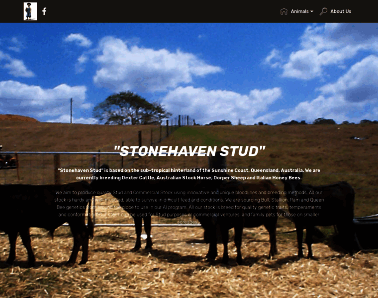 Stonehavenstud.com.au thumbnail
