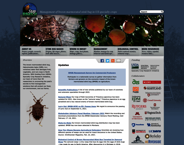 Stopbmsb.org thumbnail Stopbmsb.org thumbnail