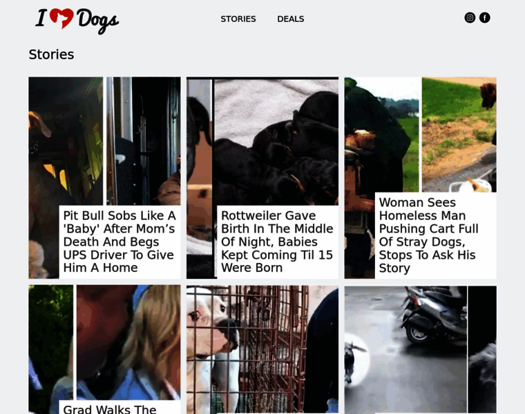 Stories.iheartdogs.com thumbnail