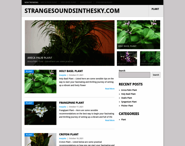 Strangesoundsinthesky.com thumbnail