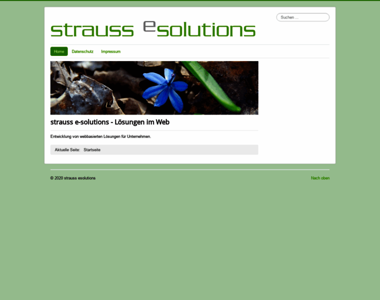 Strauss-esolutions.de thumbnail