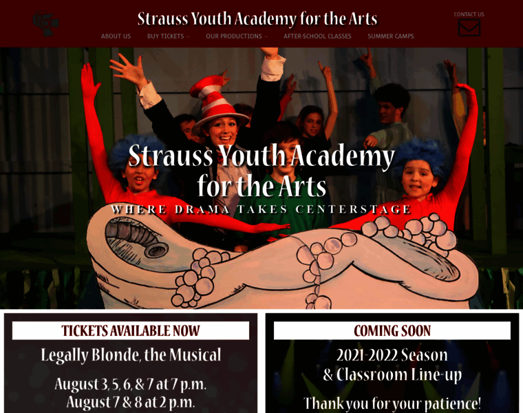 Straussyouthacademyforthearts.com thumbnail