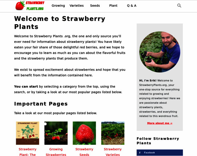 Strawberryplants.org thumbnail