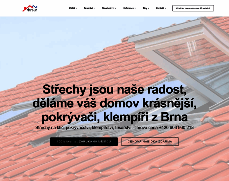 Strechy-rekonstrukce.cz thumbnail