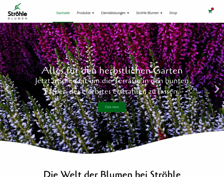 Stroehle-blumen.de thumbnail