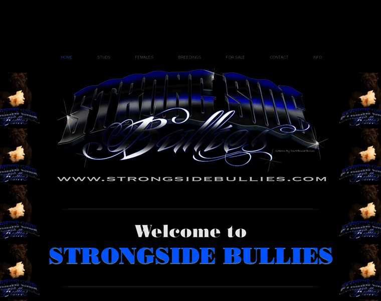 Strongsidebullies.com thumbnail