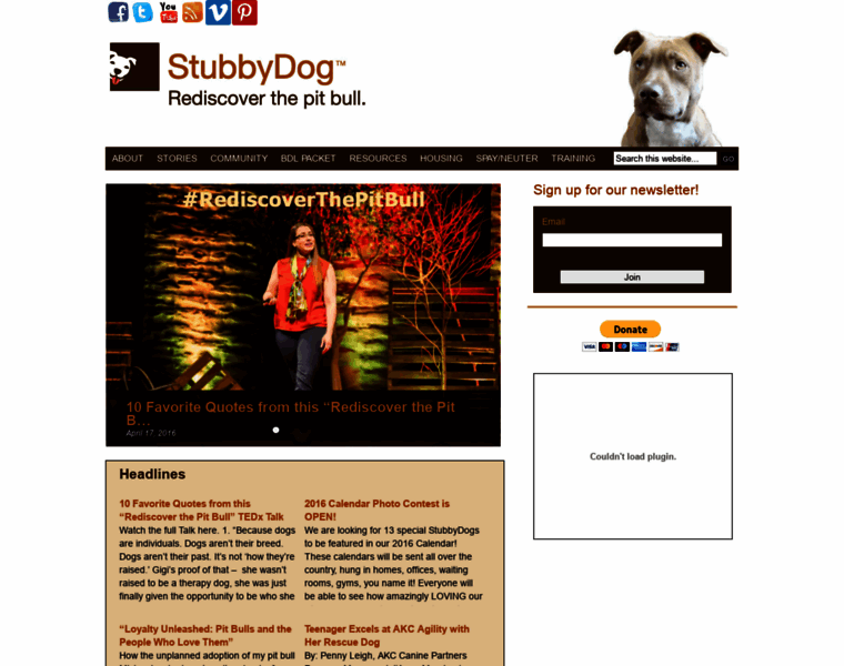Stubbydog.org thumbnail