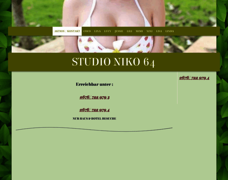 Studioniko64.at thumbnail