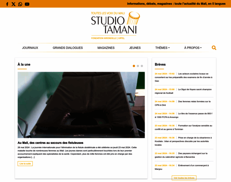 Studiotamani.org thumbnail