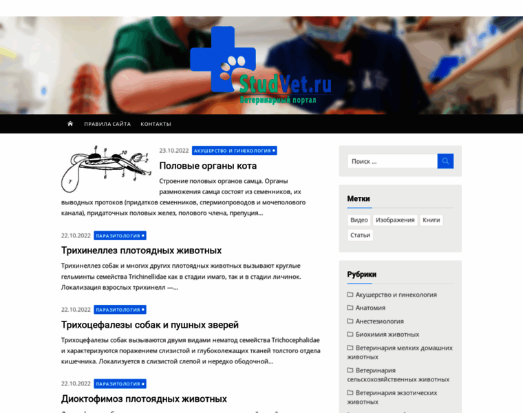 Studvet.ru thumbnail