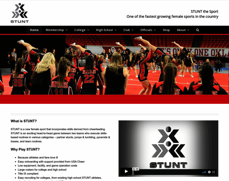 Stuntthesport.org thumbnail
