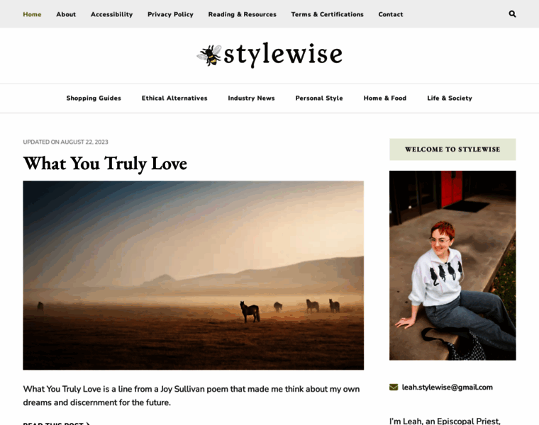 Stylewise-blog.com thumbnail