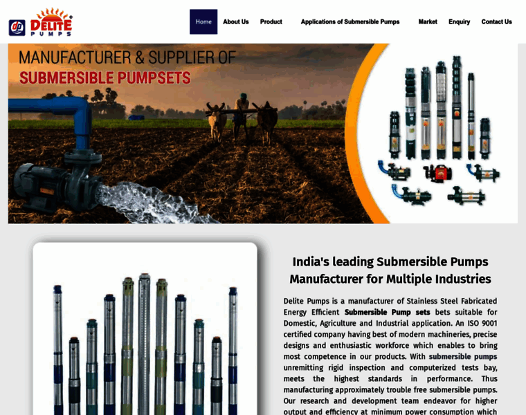 Submersible-pumps.in thumbnail