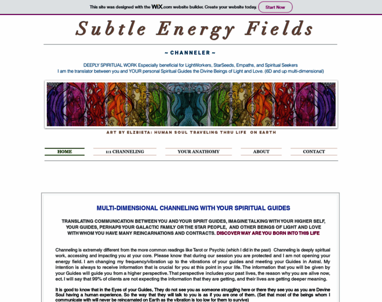 Subtleenergyfields.com thumbnail