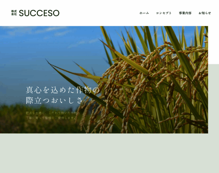 Succeso.jp thumbnail