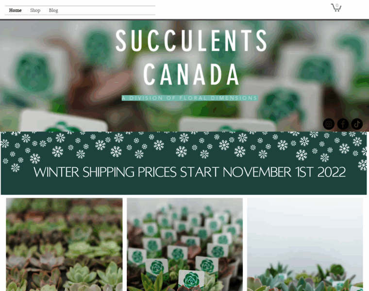 Succulents.ca thumbnail