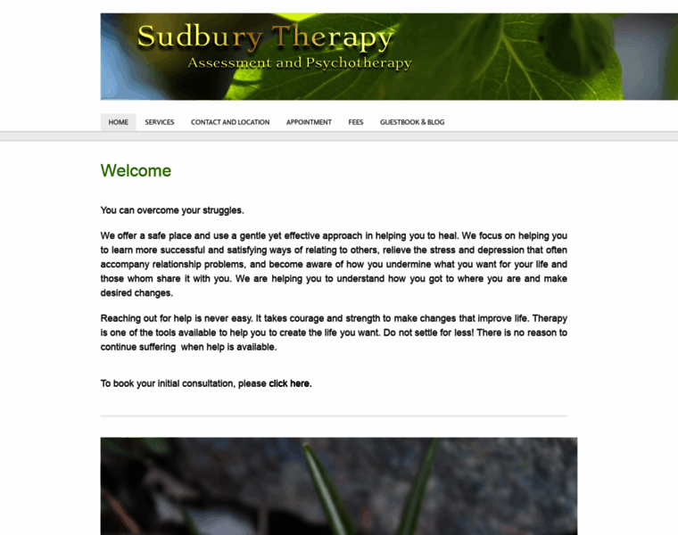 Sudburytherapy.com thumbnail