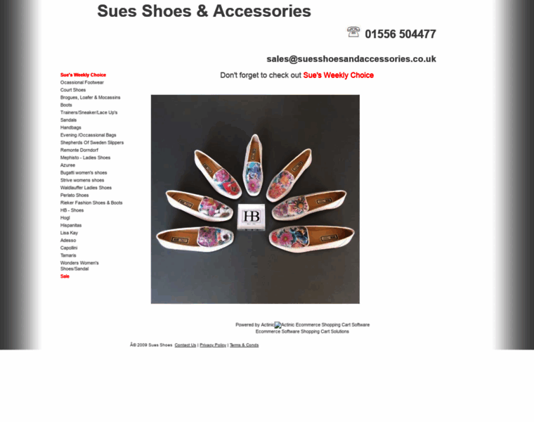 Suesshoesandaccessories.co.uk thumbnail