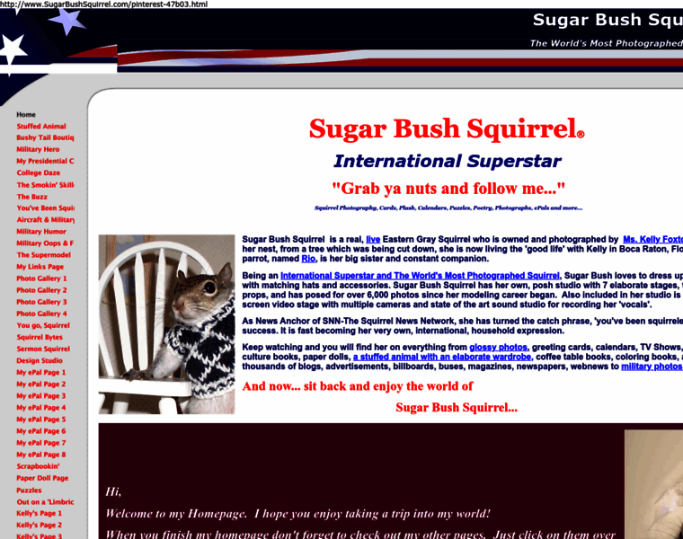 Sugarbushsquirrel.com thumbnail