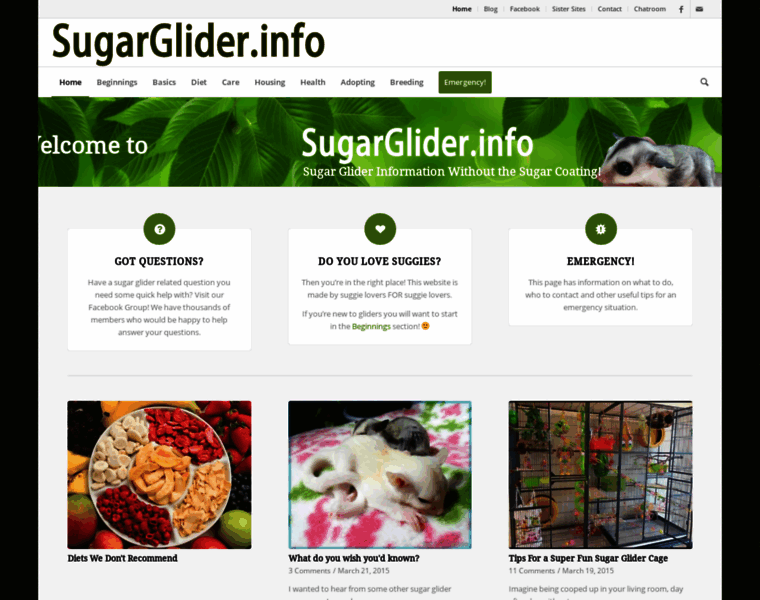 Sugarglider.info thumbnail