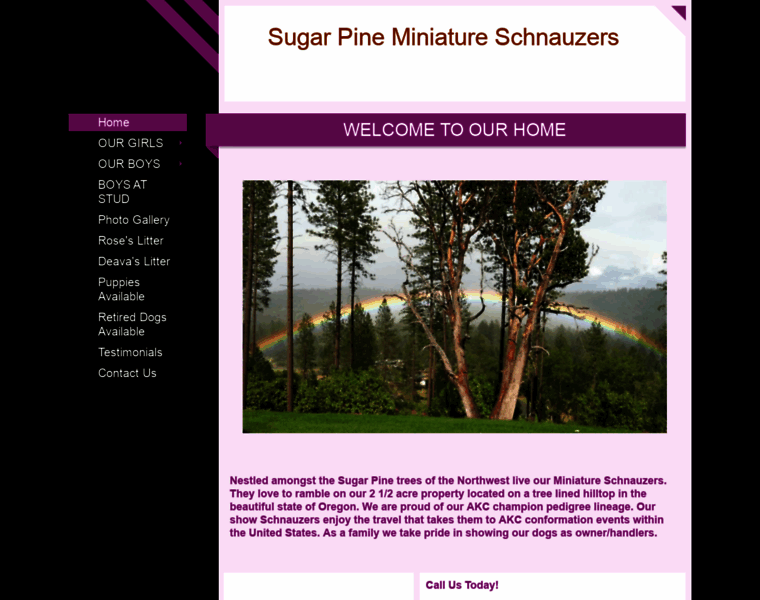 Sugarpineminiatureschnauzers.com thumbnail