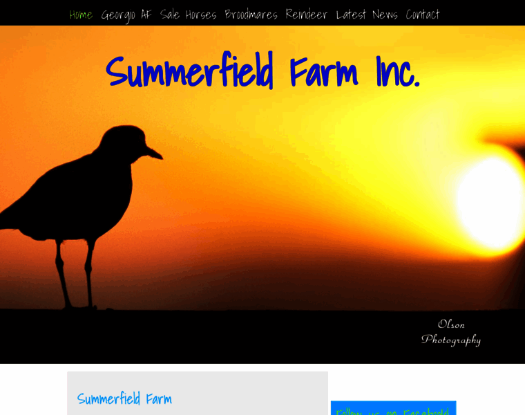 Summerfieldfarminc.com thumbnail