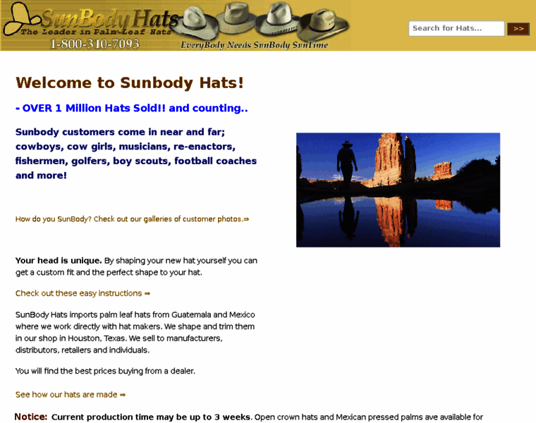 Sunbody.com thumbnail
