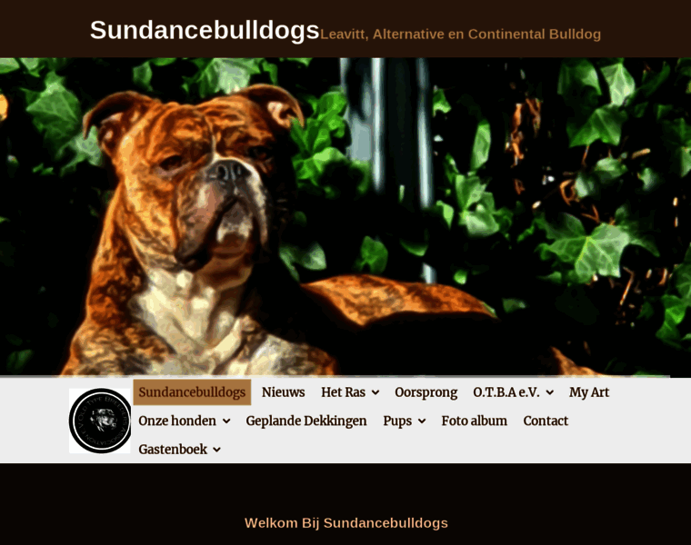 Sundancebulldogs.nl thumbnail