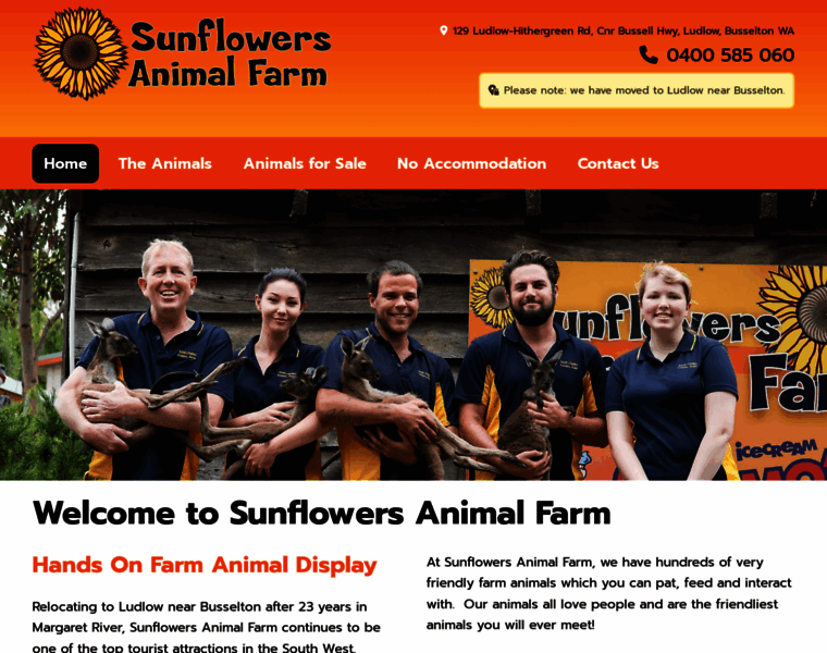 Sunflowersfarm.com thumbnail