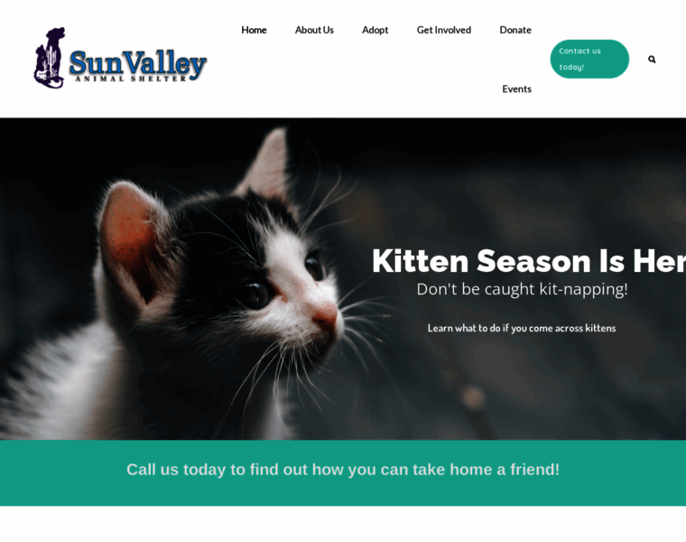 Sunvalleypets.org thumbnail