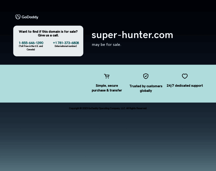 Super-hunter.com thumbnail