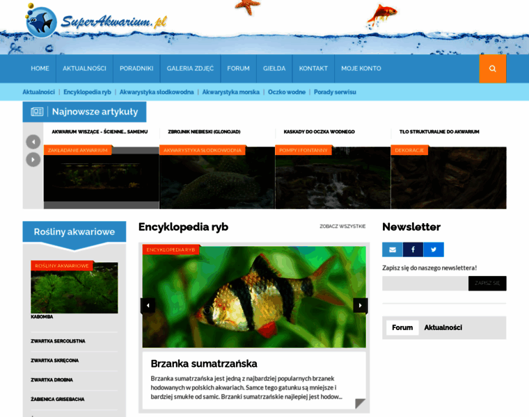 Superakwarium.pl thumbnail Superakwarium.pl thumbnail
