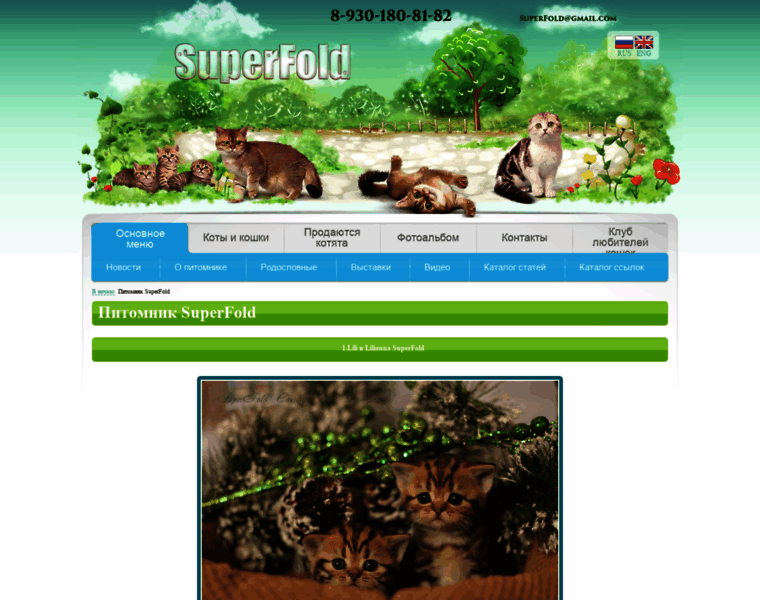 Superfold.ru thumbnail