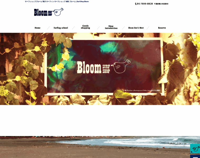 Surf-bloom.com thumbnail