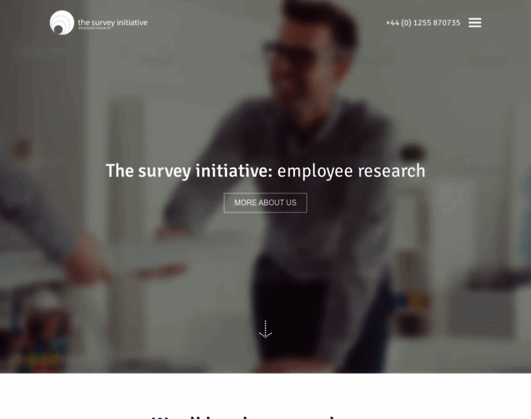 Surveyinitiative.co.uk thumbnail