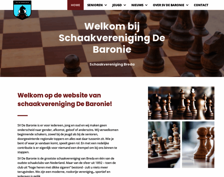 Svdebaronie.nl thumbnail