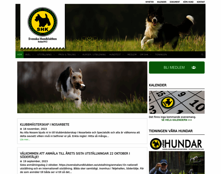 Svenskahundklubben.se thumbnail