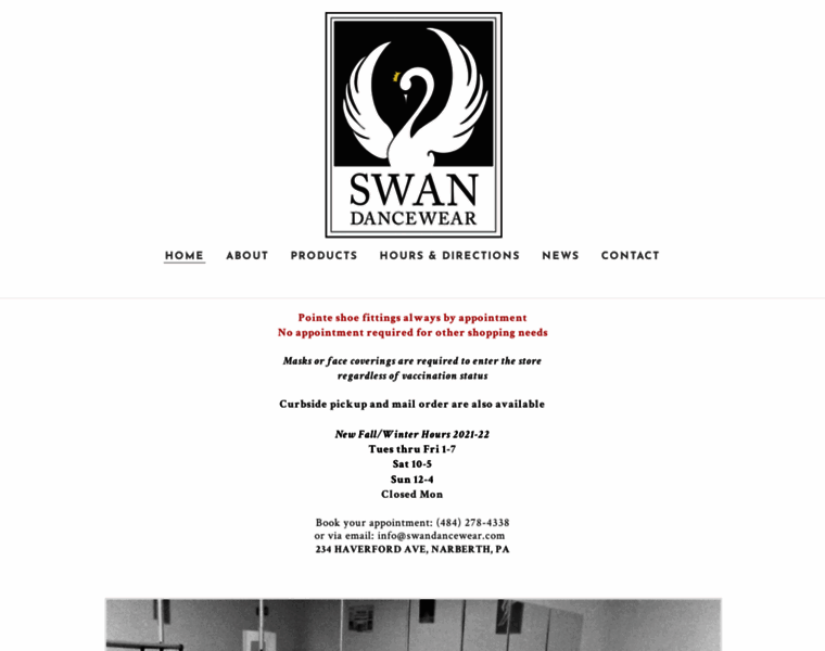 Swandancewear.com thumbnail