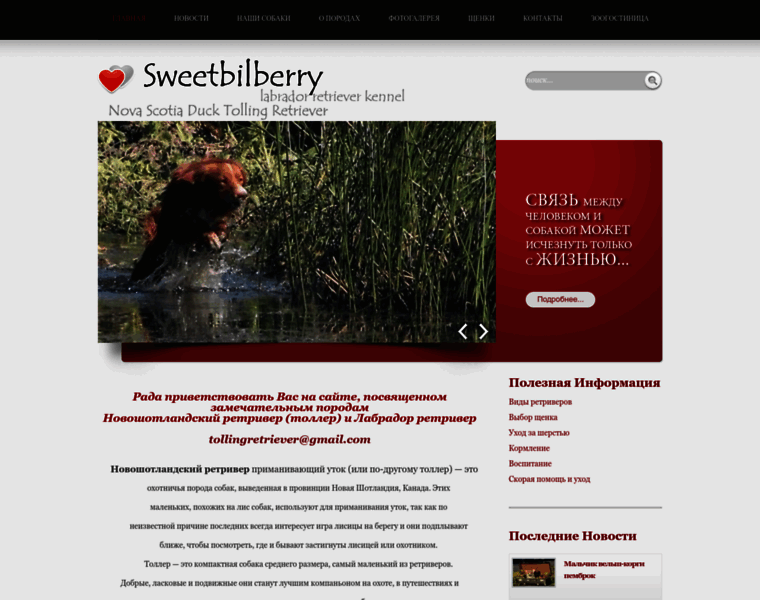 Sweetbilberry.com thumbnail