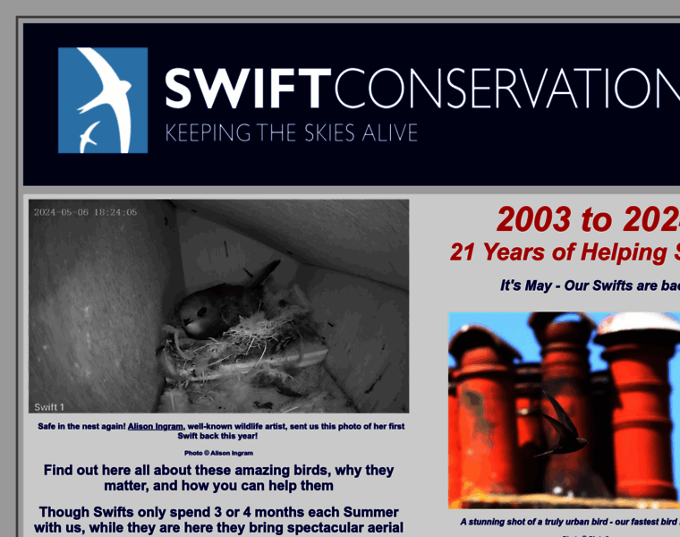 Swift-conservation.org thumbnail