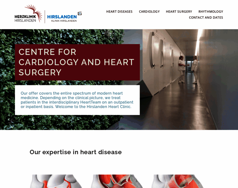 Swiss-heart-clinic.com thumbnail