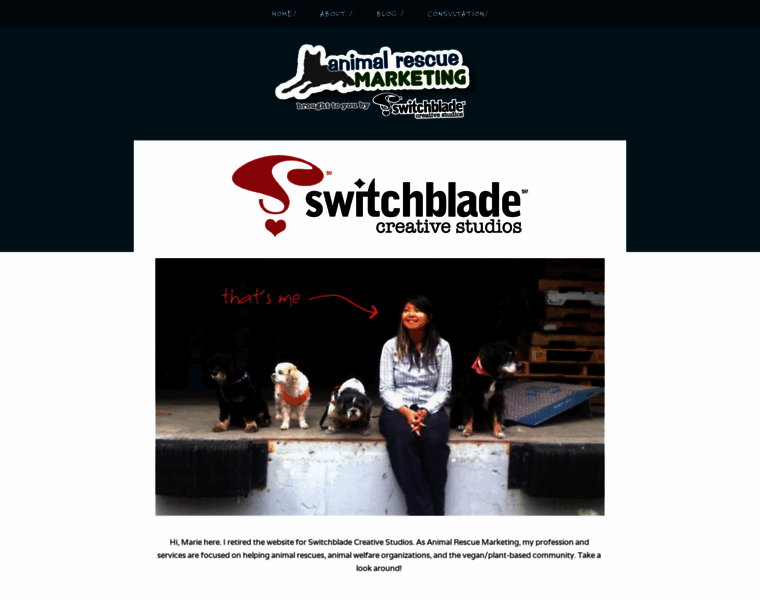 Switchblade-studios.com thumbnail