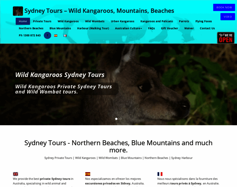 Sydney-tours.com.au thumbnail
