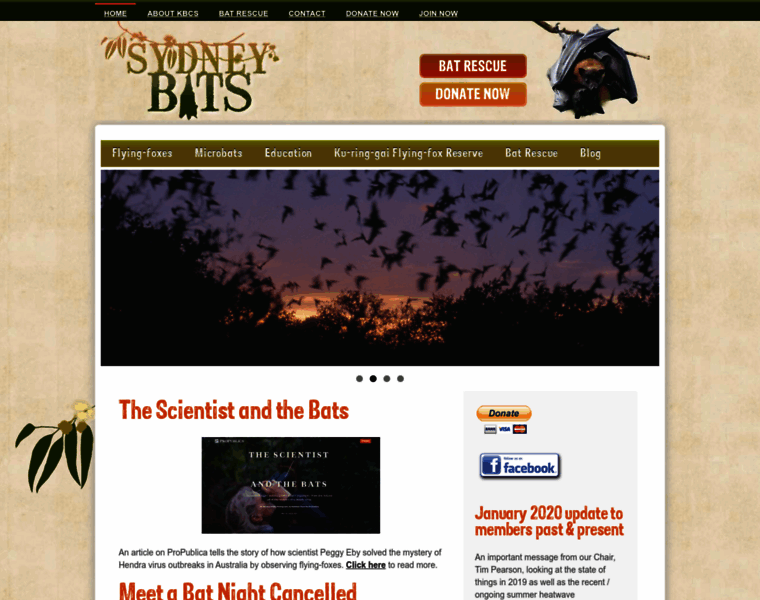 Sydneybats.org.au thumbnail